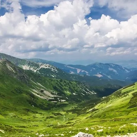 Tanicka - Chopok Juh, Tale Apartment